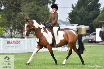 Jamie MacPherson is pictured aboard her eye catching, 'Da Vinci' during the Child's Large Show Hunter Galloway Championship.