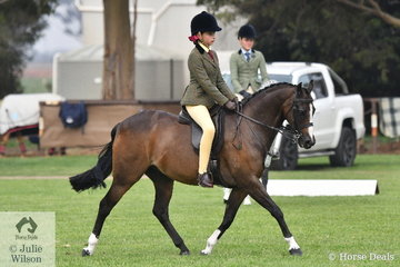 Amelia Petrie rode Bree Petrie's nomination, the very well performed, 'Raleigh Picture Perfect' to claim the Child's Medium Show Hunter Pony Reserve Championship.