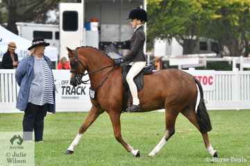 Jessica Sharpe rode her outstanding, 'Imperial Vagabond' to claim the Child's Medium Show Hunter Pony Championship.