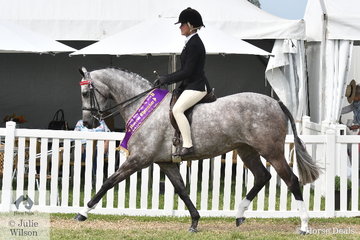 Daizi Plumb has had a super weekend with Robyn Parker's, 'DP London' and today took out the 2020 Barastoc Large Galloway Reserve Championship.