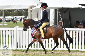 A busy Annabelle Richardson rode Annique Smith's, 'Brayside Miss Divine' to claim the Barastoc 2020 Small Pony Championship.