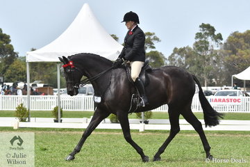 Well Known and popular exhibitor, Christine Frost rode her beautiful Thoroughbred gelding, 'Ink' to take fourth place in the 2020 Barastoc Large Hack Championship.
