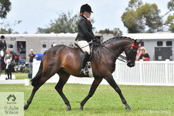 Briony Randle rode Emily Murray's well performed, 'Monument Park Superstar' to claim the Barastoc 2020 Small Galloway Reserve Championship.