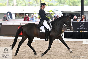 Dutchman, Marvin Smink is pictured aboard Sharon Roberts', 'Haya' by Blue Hors Hotline during the Willinga Park Grand Prix CDI4*.