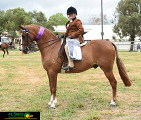 Mackenzie Lyons and Amorah Parc Vegas take out the Champion Galloway Hack at the 2020 Killarney Show.
