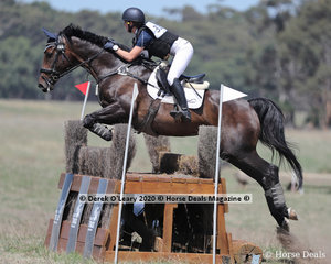 Annabelle Nelson rode "WS Poncho Loco" in the CCN 1*