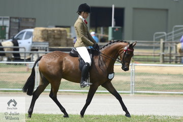 Liz Gregory's, 'Daisy Patch English Affair' took fourth place in the class for Ridden Part Welsh Mare/Gelding/Stallion 13.2-14.2hh.