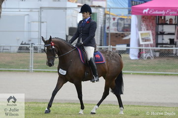 Amy Geleedst rode her own and the Austin and Lilley nomination, 'Crack A Lackin' to take second place in the class for ANSA Mare/Gelding 15-16hh.