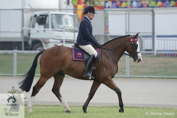 Paul Davidson rode his own, McKell and Kiah Equestrian nomination, 'Jarendan Just Saying' to take third place in the class for Ridden ANSA Mare/Gelding 15-16hh.