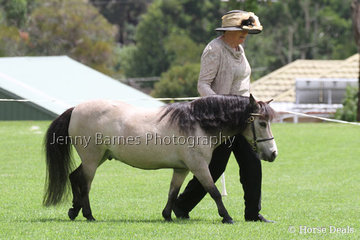 H Satterley, Collandie Park Royal Sovereign