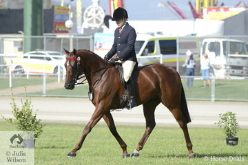 Successful showing exhibitor, Tim Hadlow rode his, 'Pride' to take third place in the class for Novice Hack 15-15.2hh.