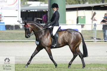 Melissa Molloy's, "Relmsparc Foxtrot' took third place in the class for Novice Hack 15.2-16hh.