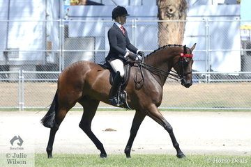 Adam Oliver rode the Universal Stables and Nicole Saunders nomination, 'Portrait' to second place in the class for Novice Hack Over 16.2hh.