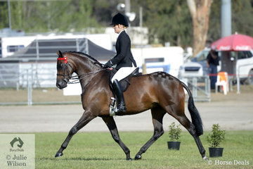 Margot Haynes from Adelaide rode her own and David Quayle's nomination, 'Westgrove Pageant Material' to  win the class for Open Heavyweight Galloway 14-14.2hh.