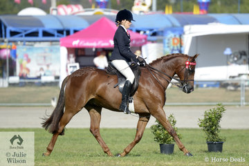 Emma Adams rode the Treneman-Duncan and Manser Families', 'Genteel Artistry' to take second place in the class for Open Heavyweight Galloway 14-14.2hh.