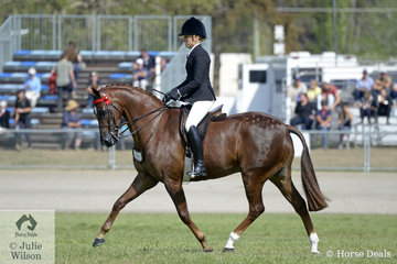 Margot Haynes rode the Haynes, Quayle and Graetz nomination, 'Argyl Fine Art' to second place in the class for Open Heavyweight Galloway 14.2-15hh.
