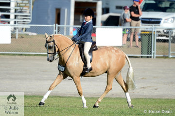 Nine Year old, Chase Jackson rode his mother, Carmen Jackson's wonderful, 'Elvonara Park Kandyman' to claim the Large Show Hunter Pony Championship.