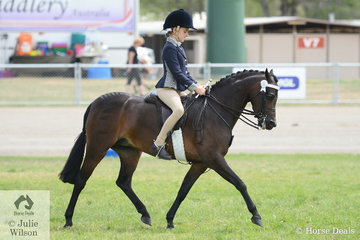 Lexie Bowan rode Sandra Bowen's, 'Barindale Silhouette' to take out the Small Pony Reserve Championship.