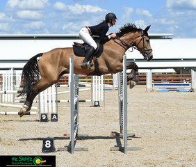Riding in the Open 1.0m Class at the Tamworth Indoor Championships was Jo Purvis riding her Warmblood Gelding 'Snowy River Rubix Cube'.