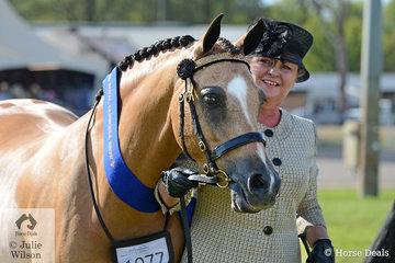 Dianne Arnold claimed the Champion Led Buckskin title with her mare, 'Silhouette Park Kaidence'.