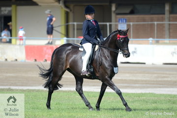Tex Flack rode Jodi Allen-O'Sullivan's well performed, 'Royalwood Centre Stage' to second place in the class for Child's Hack 15-16hh.