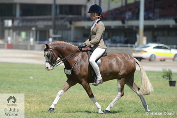 Becky Robertson rode the Wells Family's nomination, 'Bellingara Tribute' to third place in the class for Child's Show Hunter Pony N/E 12hh.