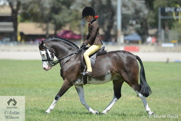 Maison Hunt had a successful show with Andrea Merry's charming, 'Splashdance'. They won the Hunter Leading Rein class yesterday and today they were placed in the class for Child's Show Hunter Pony N/E 12hh.