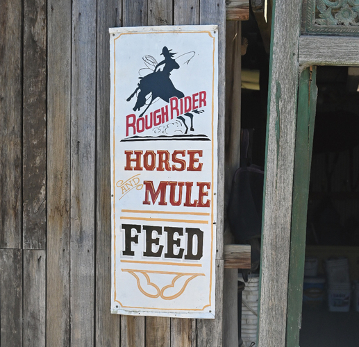 Not too many mules, but there are 30 horses here.