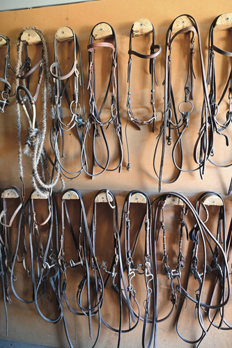 Bridles. The top row, snaffle bridles to begin the training and the bottom row more sophisticated bits for more advanced horses.