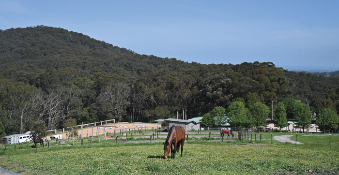 Looking down on the heart of Eagle Pass Ranch from one of the yards. Beyond is the 25,000 acre Bunyip State Forest, which has 100’s of tracks for riding out the horses.