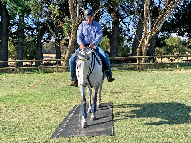 Training Obstacles for Stockman’s Challenge | News and Stories | Horse ...