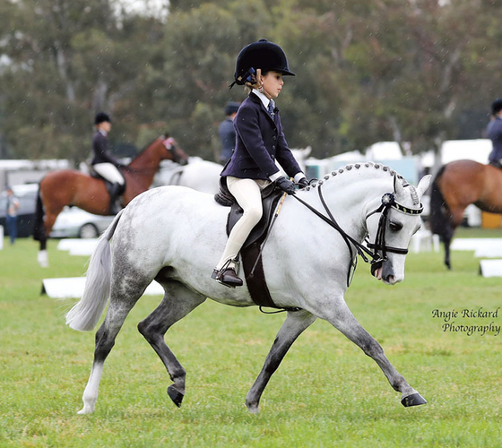 Angie Rickard Photography