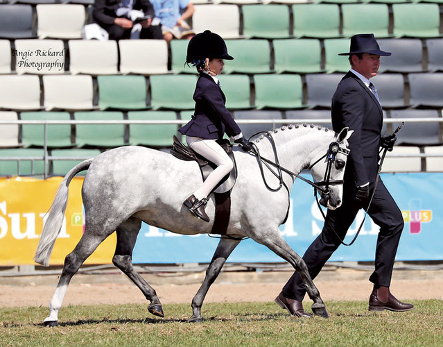 Angie Rickard Photography