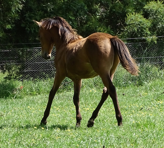 Danny
Pictured at 9 months (4th November 2019).