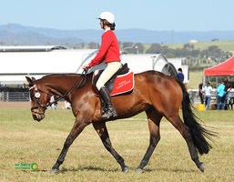 Skout - Interschools