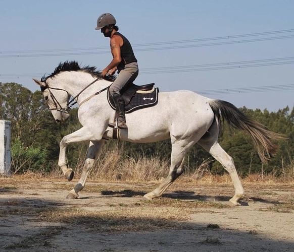 Dam - SF Landau Star