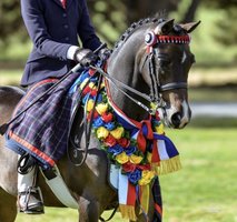 Entered for Sydney Royal & GN