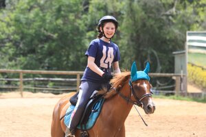 Safe, fun and adorable Welsh Pony