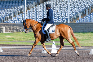 Rest Assured - Perfect AOR horse