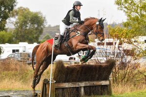 Talented Eventer