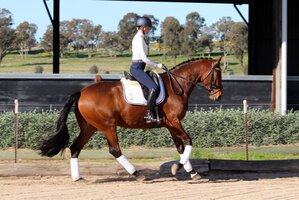 Willing and Trainable