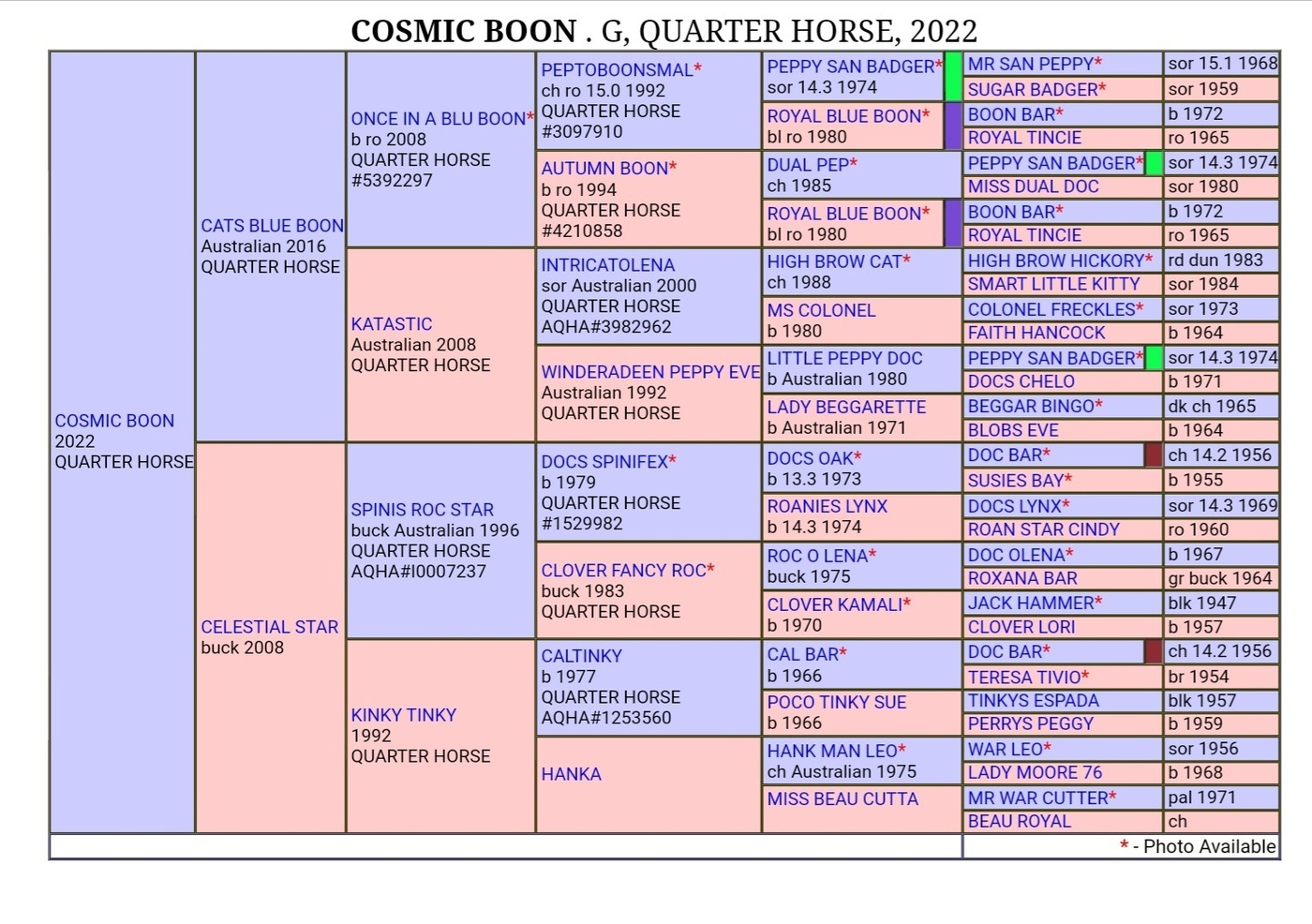 Yearling Gelding Cutting horses Horse for sale in Cowra NSW Horse