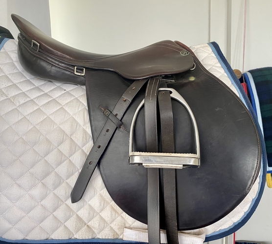 Kieffer Baden jumping saddle Saddlery for sale Saddles, Tack and