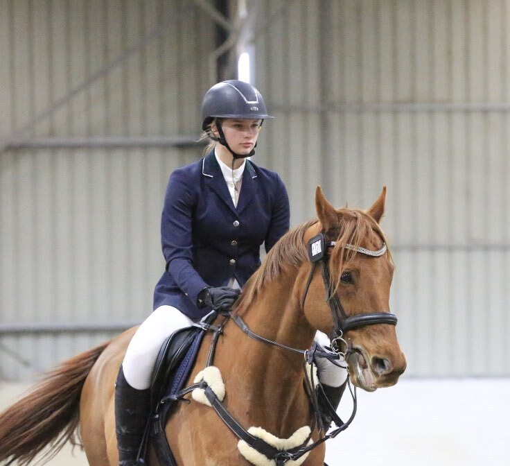 Jupiter Talented Performance Horse Eventing horses Horse for sale