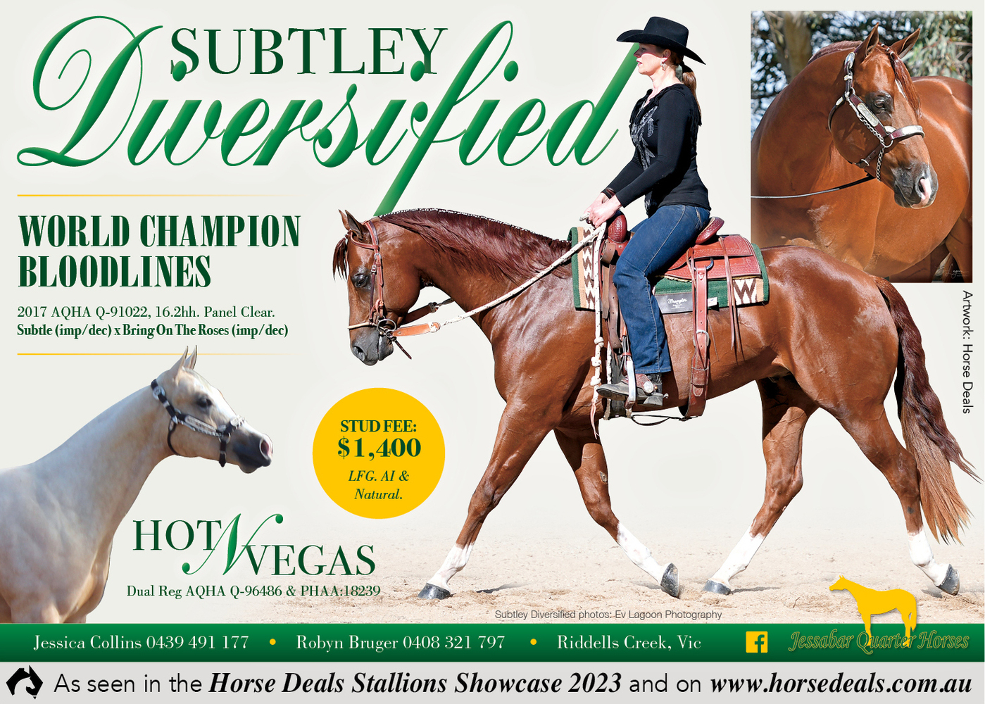 National Quality Filly Western Show horses Horse for sale in
