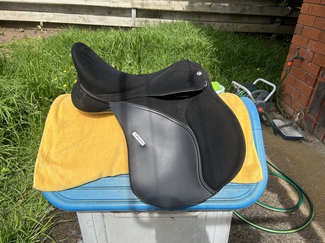 Collegiate All Purpose Saddle Saddlery for sale Saddles, Tack and