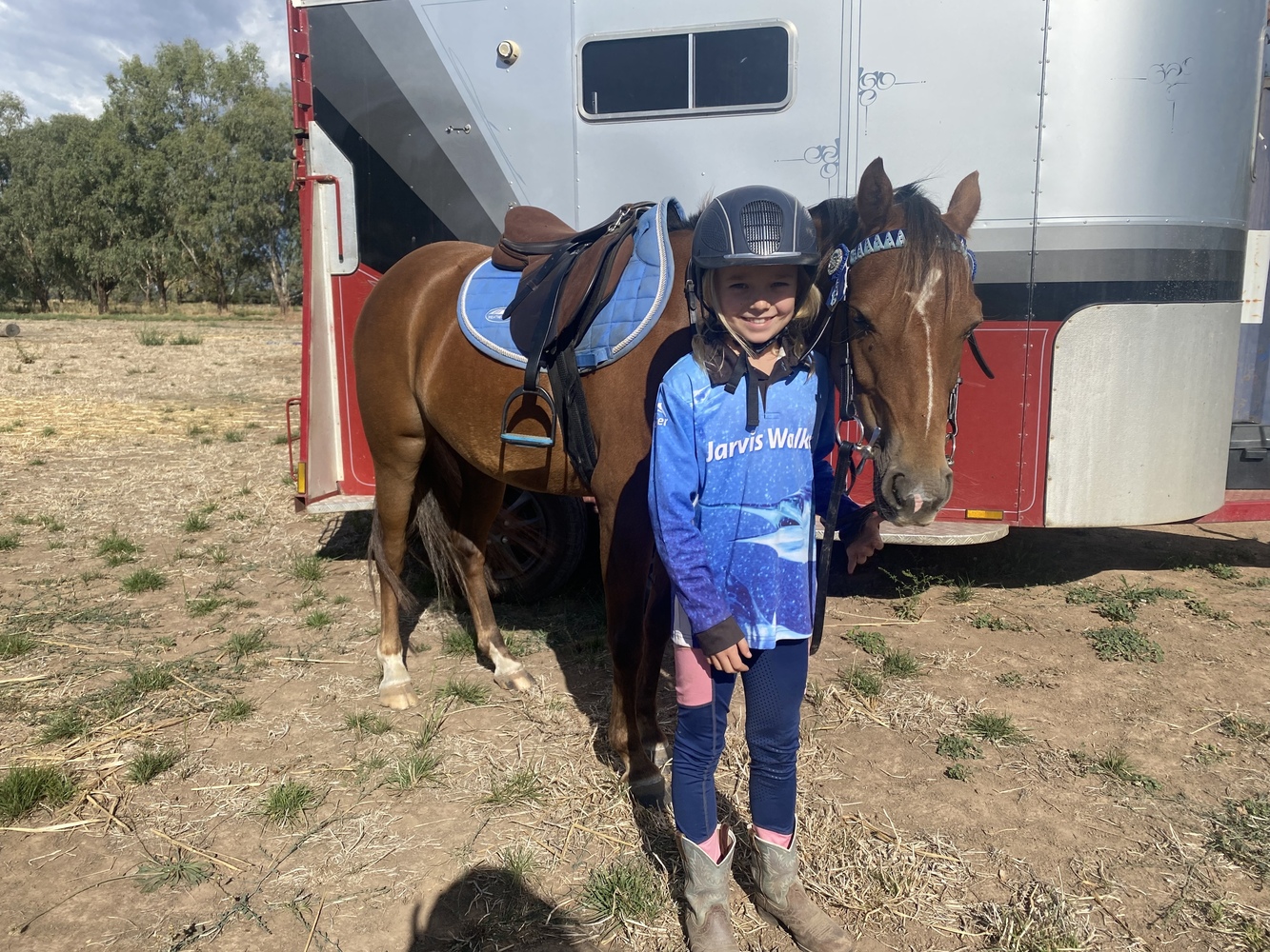 Lovely Liver Chestnut Pony Club horses Horse for sale in Shepparton