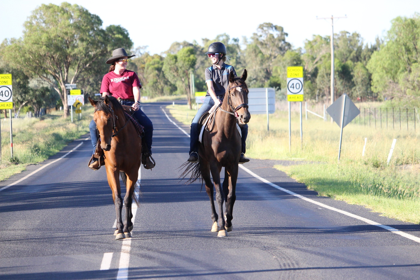 Novice Mount Eventing horses Horse for sale in Dubbo NSW Horse Deals