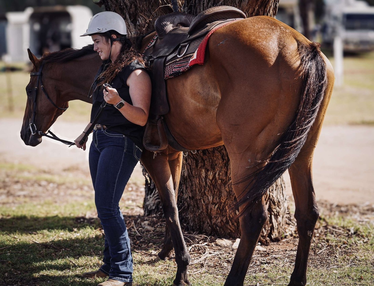 Novice Mount Allrounder horses Horse for sale in Dubbo NSW Horse