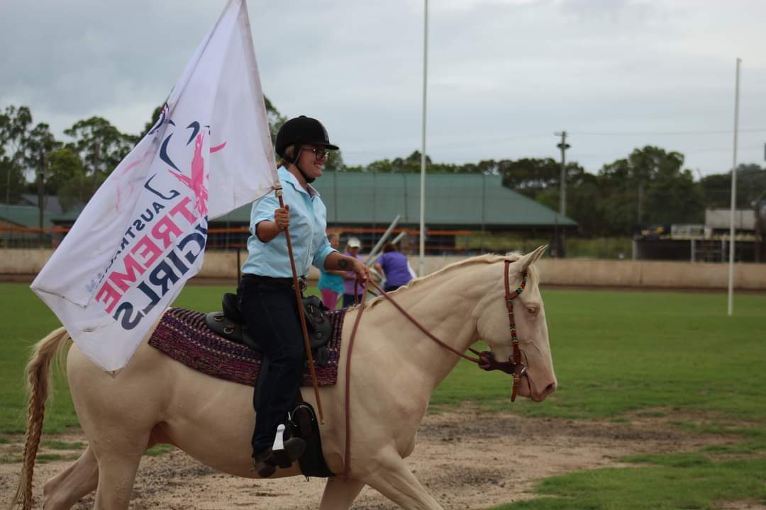 Flashy Solid Gelding Allrounder horses Horse for sale in Coffs
